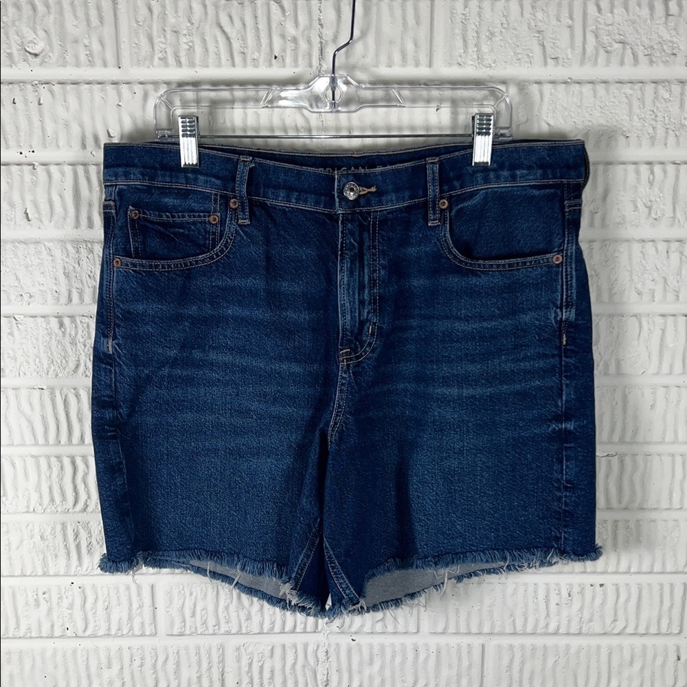 American Eagle Strigid Relaxed Fit Shorts